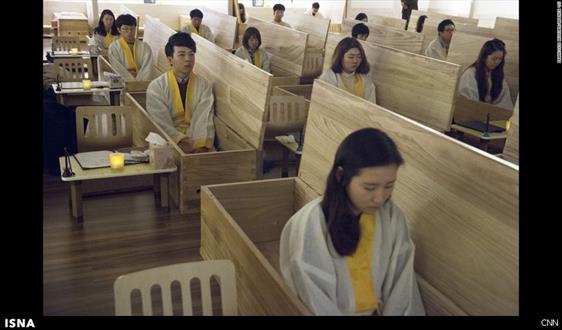 درمان عجیب افسردگی در کره‌جنوبی + عکس 