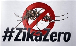 احتمال بیوتروریستی بودن انتشار ویروس زیکا/ ردپای زیکا در ایران