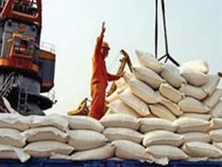 چرخش بازار برنج ایران روی انگشت تاجران هندی و پاکستانی! +نمودار