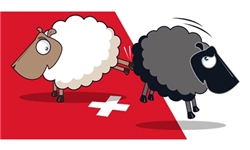 آیا رفراندوم در سوئیس به معنای دموکراسی است