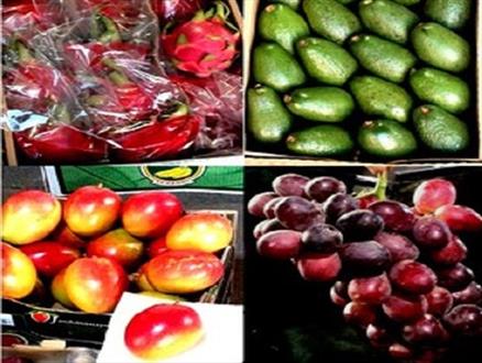 مانور میوه‌های قاچاق با چراغ سبز مسئولین/ 50 درصد باغات کشور از طریق قاچاق میوه آلوده شدند