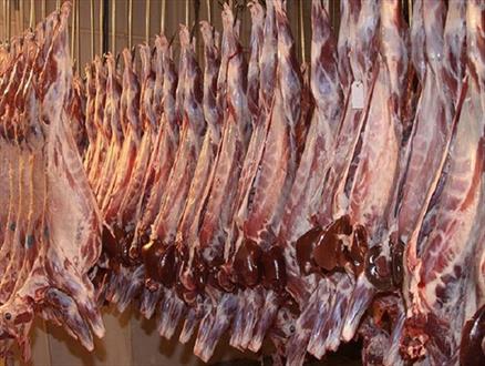واردات گوشت برزیلی کابوس هر شب دامداران/ تولید زیر ظرفیت دامداری به واسطه بی تدبیری دولت