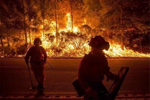 آتش زدن جنگل برای گرفتن عکس سلفی