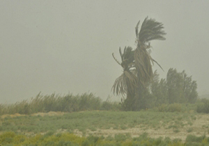 سرعت وزش باد در سیستان به 70 کیلومتر برساعت رسید 