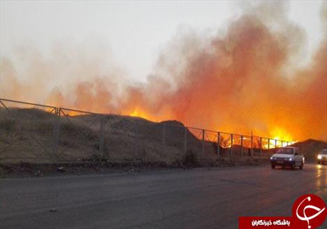 آتش سوزی در شهر تاریخی بیشاپور + تصاویر 