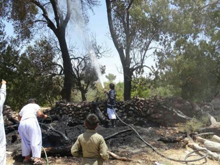 آتش سوزی در روستاي دجنگ خاش ۲۰ اصله درخت زردآلوي مثمر را از بین برد/ عوامل انساني عامل اين آتش سوزي اعلام شده است