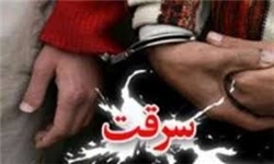 کاهش 41 درصدی سرقت‌ها در ایرانشهر