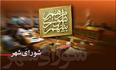 سالاری: معاونان شهردار نباید برای شورا تعیین تکلیف کنند/هاشمی: مدیران جدید شهری هنوز مسلط نیستند