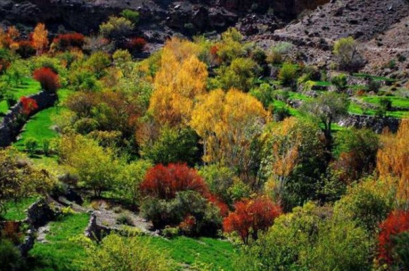 روستاي تمندان خاش؛ بهشتی گمشده در دامنه تفتان/ ضرورت احداث پايگاه محيط باني در روستاي تمندان و جلوگيري از شكار بي رويه + تصاوير