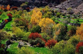 روستاي تمندان خاش؛ بهشتی گمشده در دامنه تفتان/ ضرورت احداث پايگاه محيط باني در روستاي تمندان و جلوگيري از شكار بي رويه + تصاوير