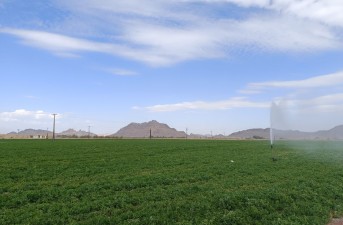 اجرای ۲۵۶ هکتار سیستم نوین آبیاری در شهرستان خاش
